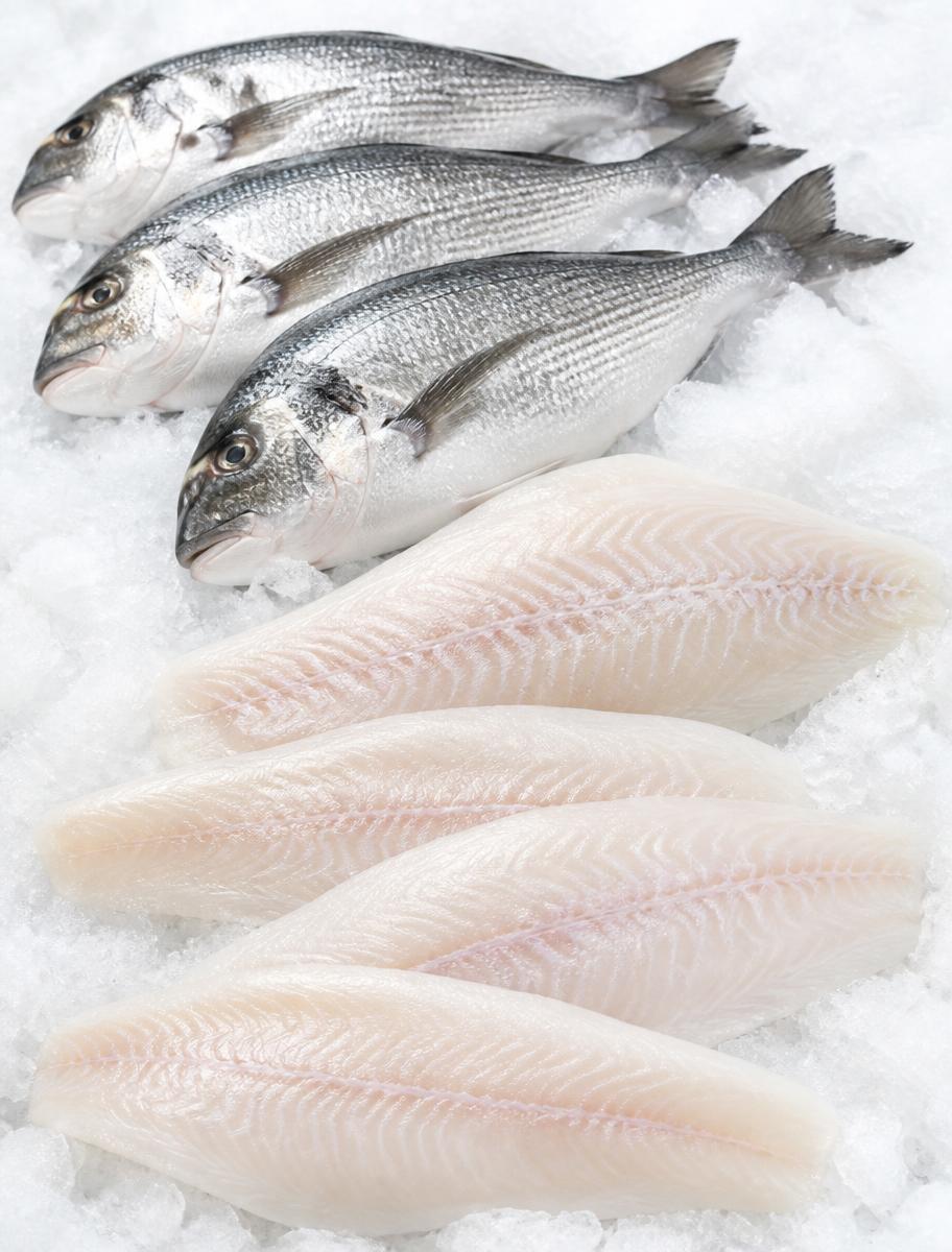 Whole frozen fish and white fish fillets on crushed ice
